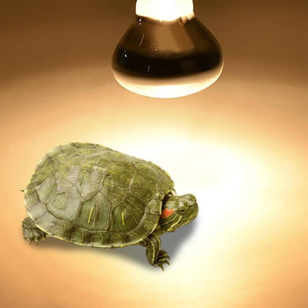 Lizard Heater Heat Lamp UVA Li - Basking Bulb Halogen recension och pris