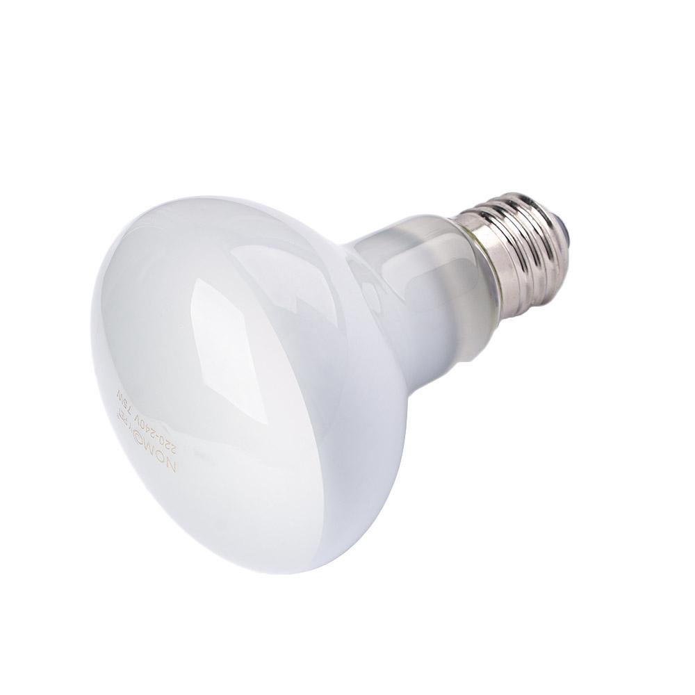 Lizard Heater Temperature Cont - Basking Bulb Halogen recension och pris