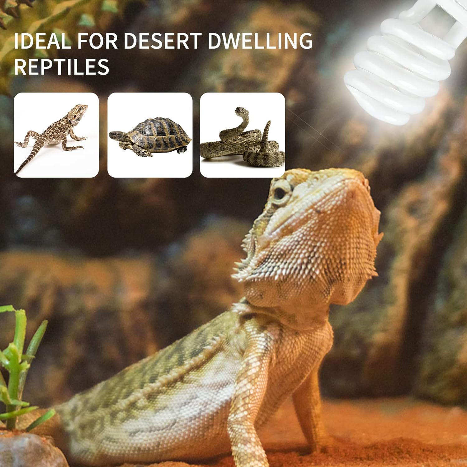 UVB 5.0 10.0 Reptile Heating L - Calcium Powder Reptile recension och pris