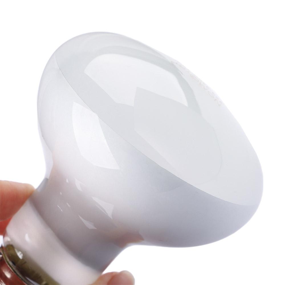 Lizard Heater Temperature Cont - Basking Bulb Halogen recension och pris
