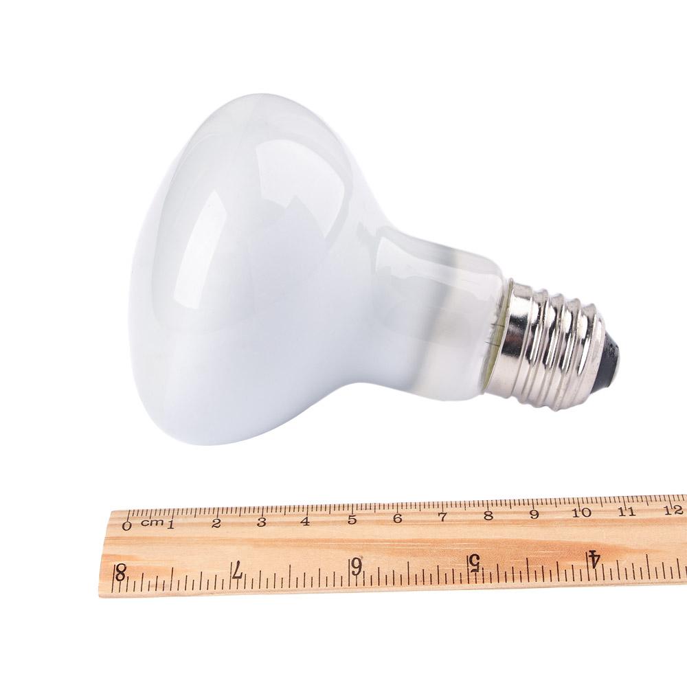 Lizard Heater Temperature Cont - Basking Bulb Halogen recension och pris