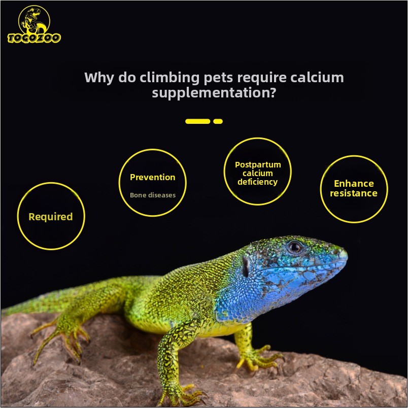 TOGOZOO WILDCAL Reptile Calciu - Calcium Powder Reptile recension och pris