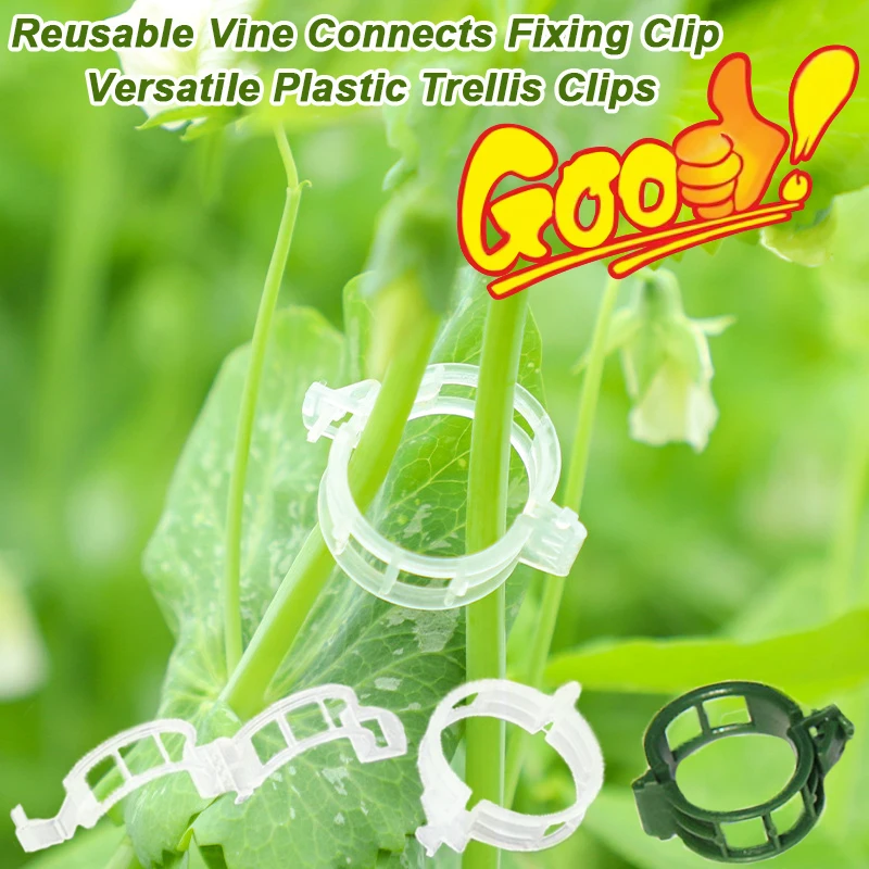 Reusable Vine Connects Fixing  - Vine Climbing Plastic recension och pris