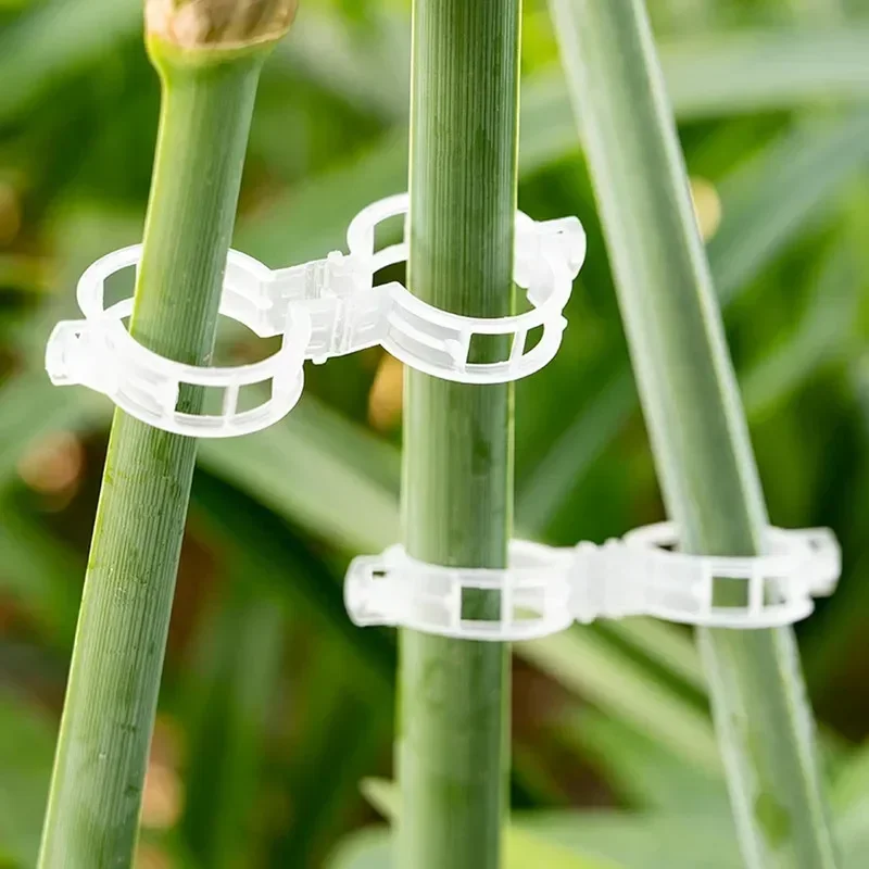 Reusable Vine Connects Fixing  - Vine Climbing Plastic recension och pris