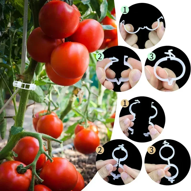Reusable Vine Connects Fixing  - Vine Climbing Plastic recension och pris