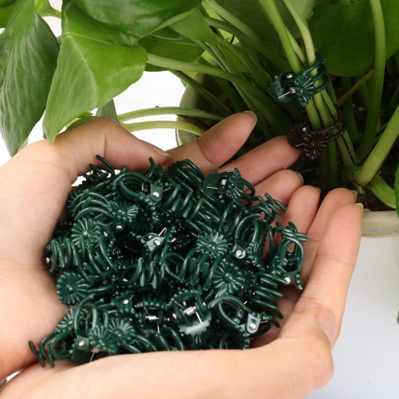Wholesale Mini Plant Support C - Vine Climbing Plastic recension och pris