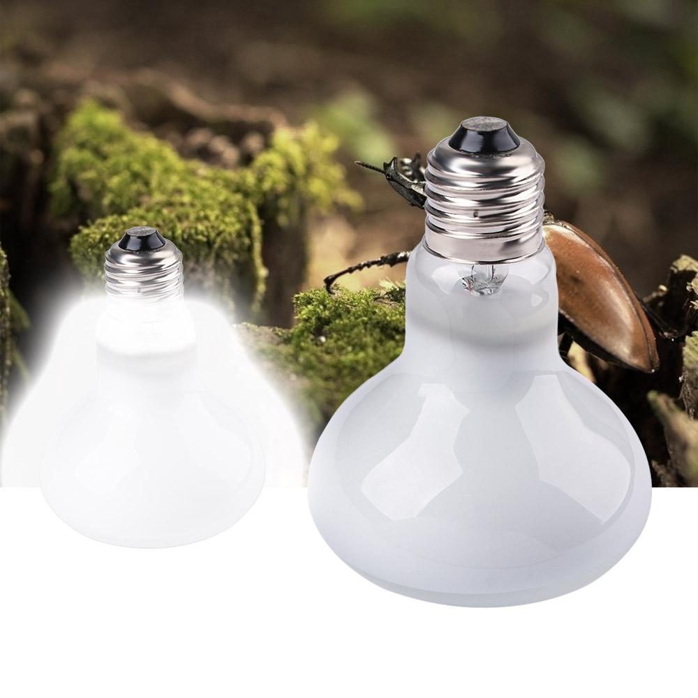 Amphibians Temperature Control - Basking Bulb Halogen recension och pris