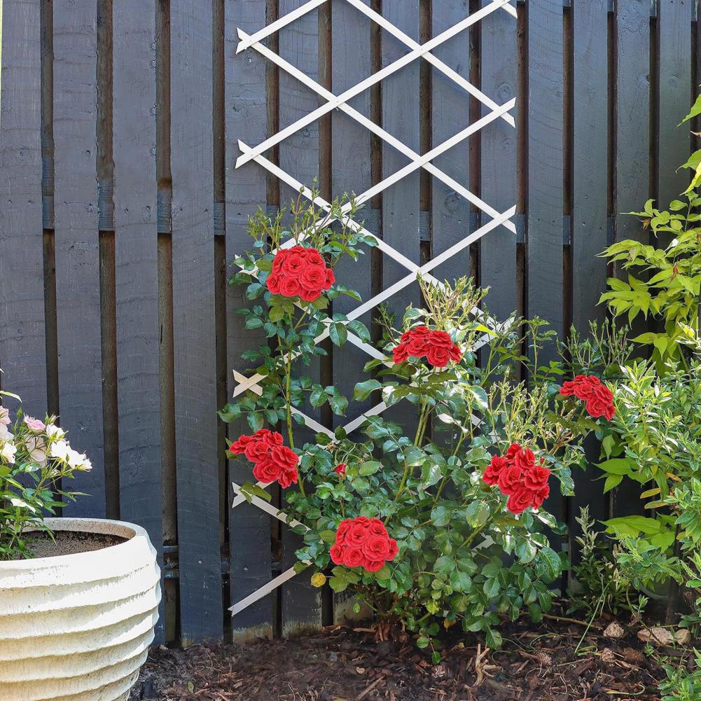 Expandable Garden Trellis 70 x - Vine Climbing Plastic recension och pris