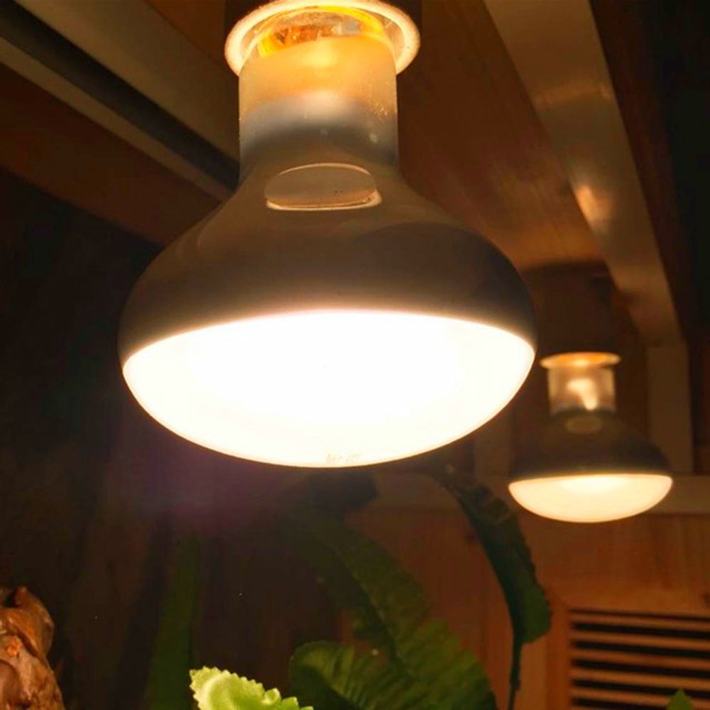 Turtle Heater Temperature Cont - Basking Bulb Halogen recension och pris