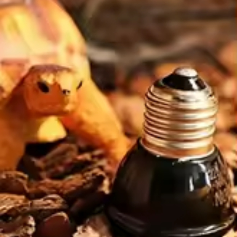 Reptile Ceramic Heat Emitter M - Ceramic Heat Emitter recension och pris