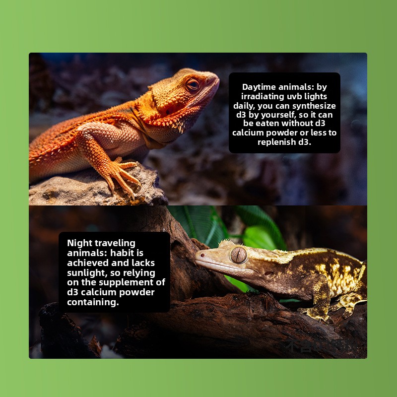 Reptizoo Reptile Calcium Powde - Vitamin D3 Reptile recension och pris