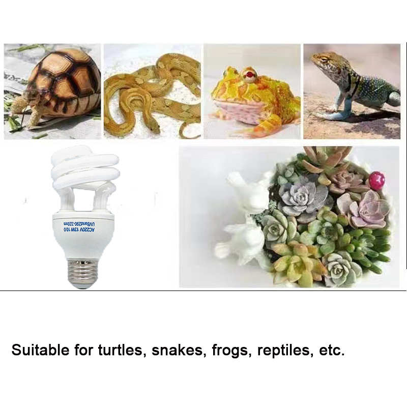 E27 13W/26W Reptile Uvb Lamp   - Calcium Powder Reptile recension och pris