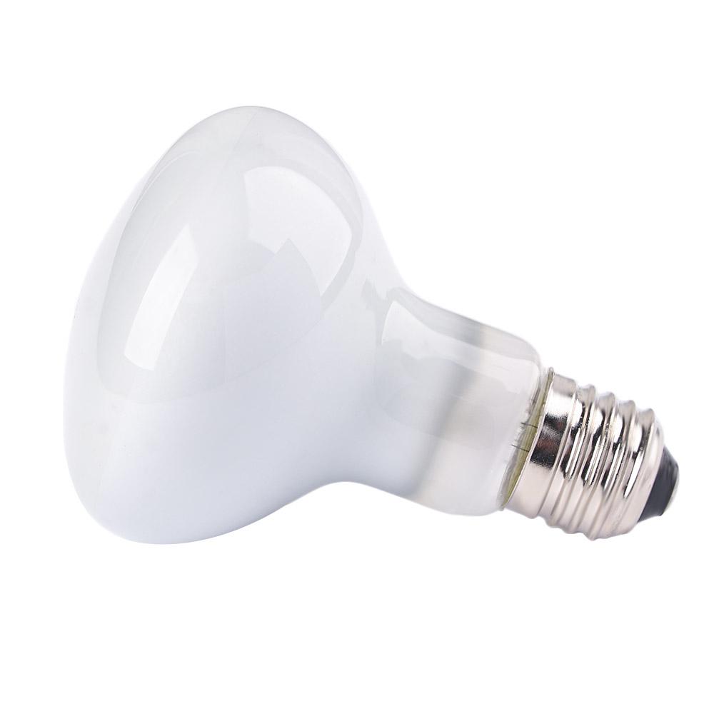 Turtle Temperature Controller  - Basking Bulb Halogen recension och pris