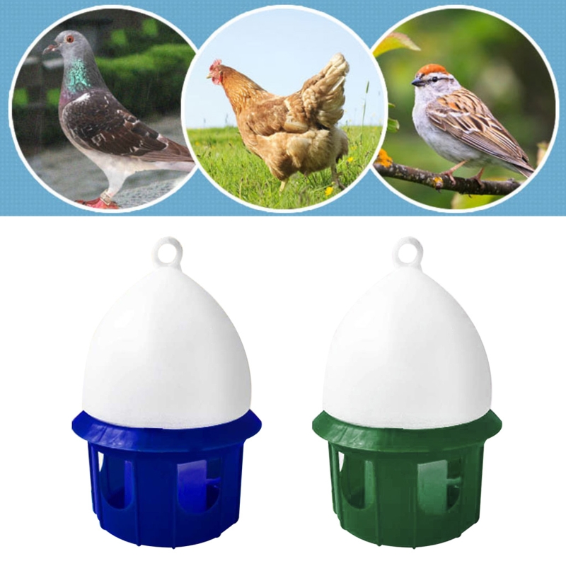 for Pigeon Water Dispenser Dur - Vitamin D3 Reptile recension och pris