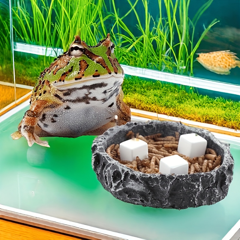 6Pcs Fish Tank Calcium Block M - Calcium Powder Reptile recension och pris