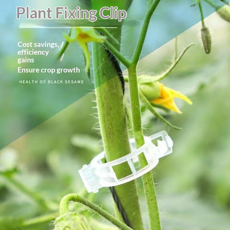 Plastic Plant Support Clips Re - Vine Climbing Plastic recension och pris