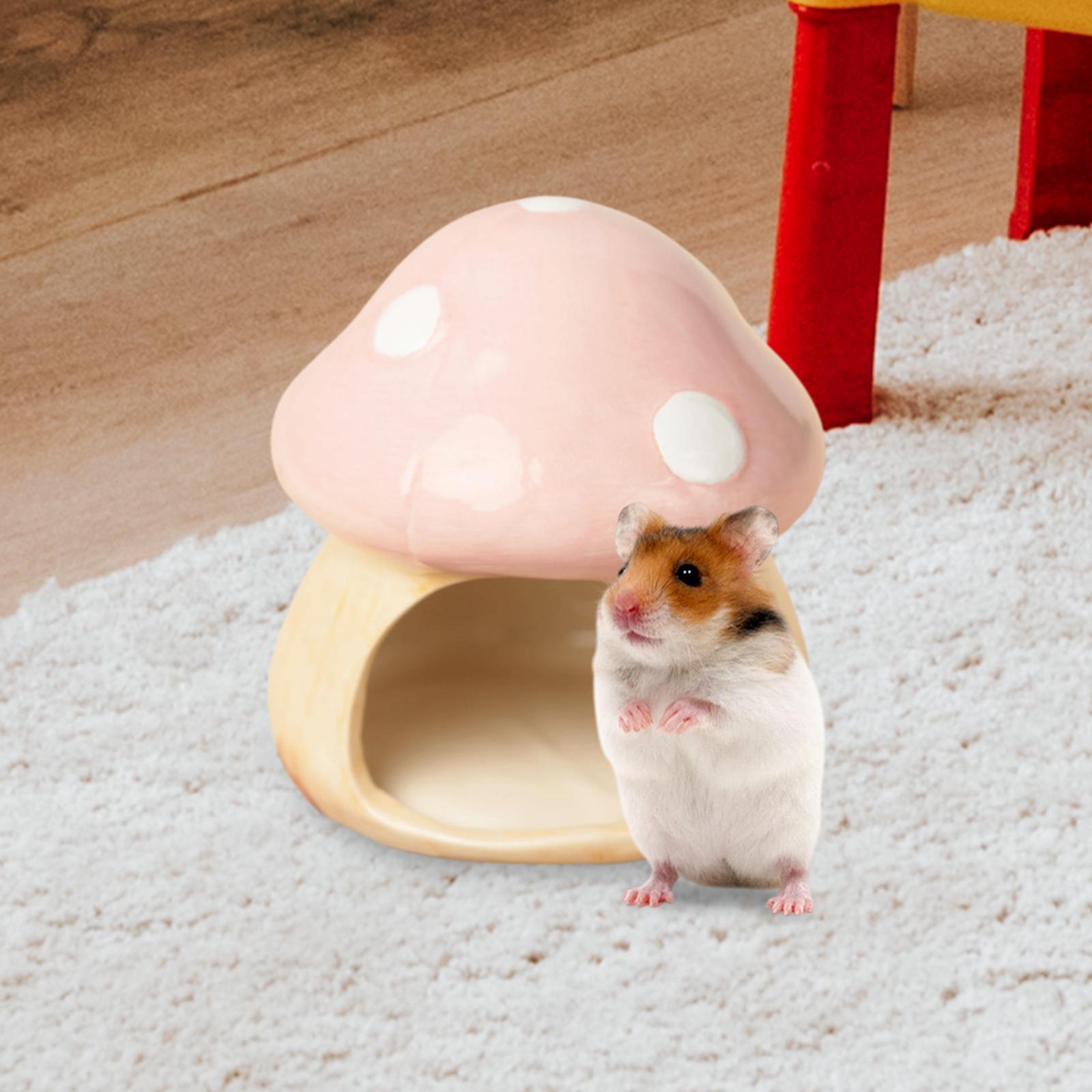 Ceramic Mushroom Hamster Hideo - Hide Cave Ceramic recension och pris